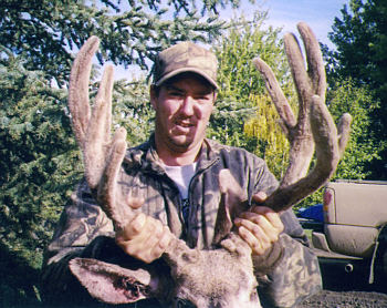 Alberrta Canada Moose Hunting