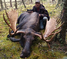 Alberta Canada Moose Hunting