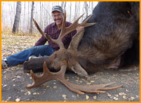 Alberta moose hunting