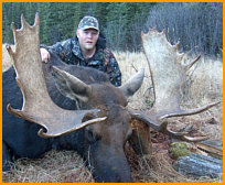 Moose hunting Alberta Canada