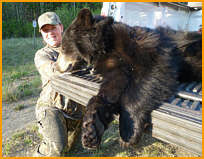 Alberta black bear hunting