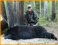 black bear hunting in alberta canada