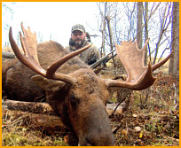 moose hunting alberta canada