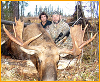alberta moose hunting