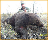 Alberta Black Bear Hunting