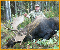 Alberta Moose Hunting