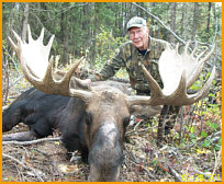 Alberta Moose Hunting