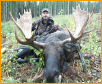 Alberta Moose Hunts