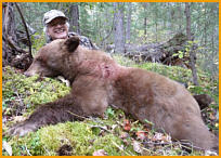 Alberta Black Bear Hunting