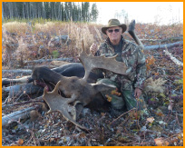 Alberta Moose Hunting