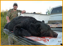 Alberta Black Bear Hunting