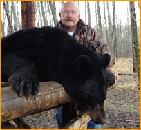 black bear hunting