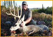 Alberta Moose Hunting